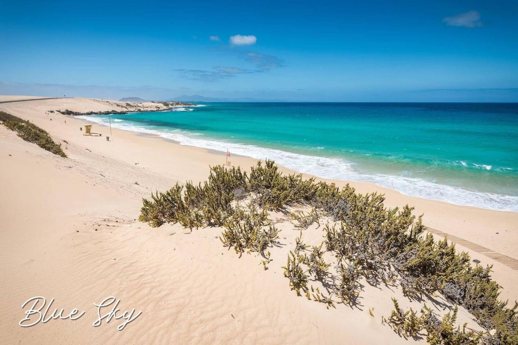 Corralejo Sun 335 Blue Sky By Rentalfue Extérieur photo